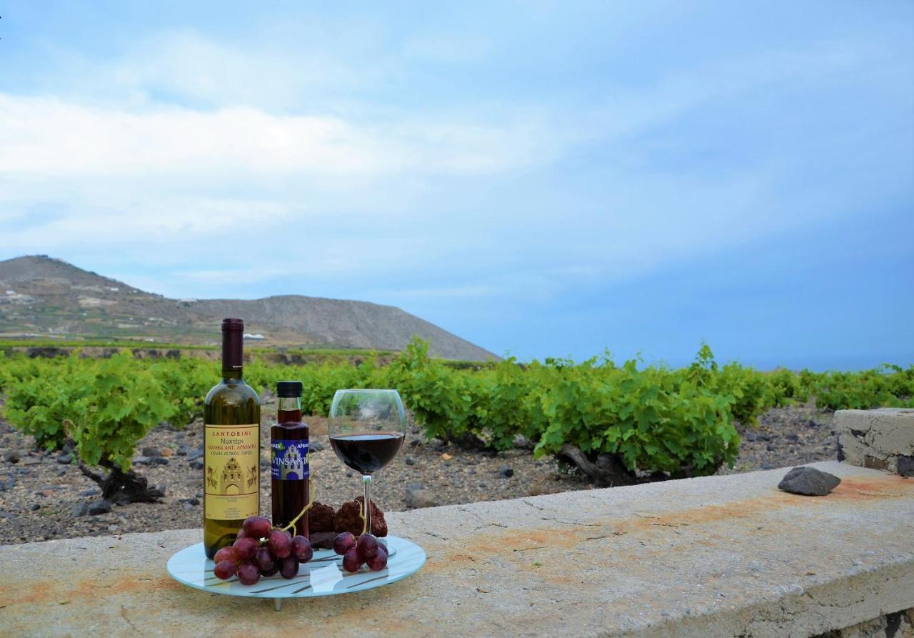Vineyards Hill Villa Megalochori  Ngoại thất bức ảnh