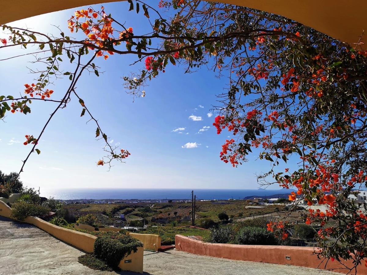 Vineyards Hill Villa Megalochori  Ngoại thất bức ảnh