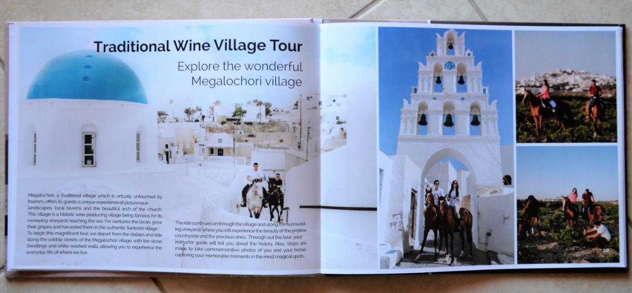 Vineyards Hill Villa Megalochori  Ngoại thất bức ảnh